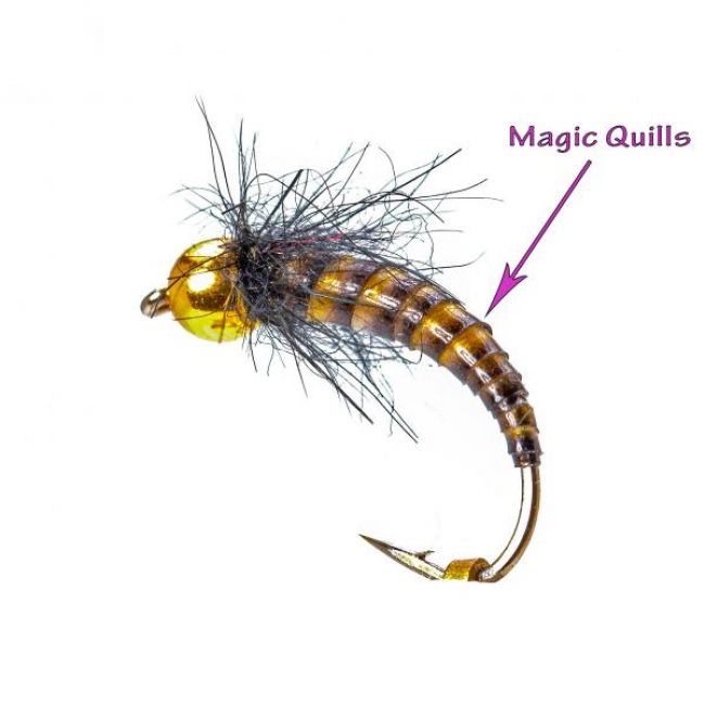 Magic Quills transparent