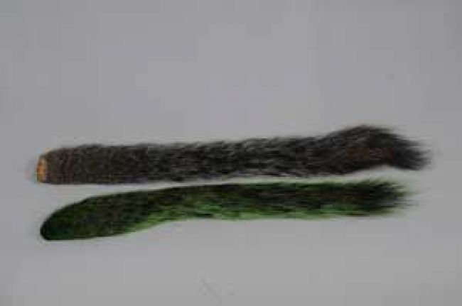 Flyscene Squirrel Tails