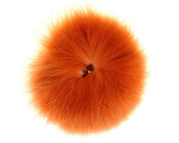 Fox Tail Grade #1